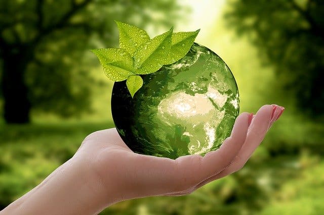 Développement durable environnement