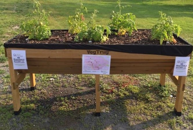 Un deuxième rallye découverte pour les Jardins à partager à Saint-Hubert