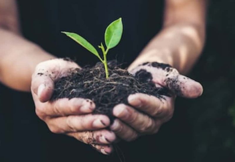 Plantation de 350 arbres pour les 350 ans de Varennes