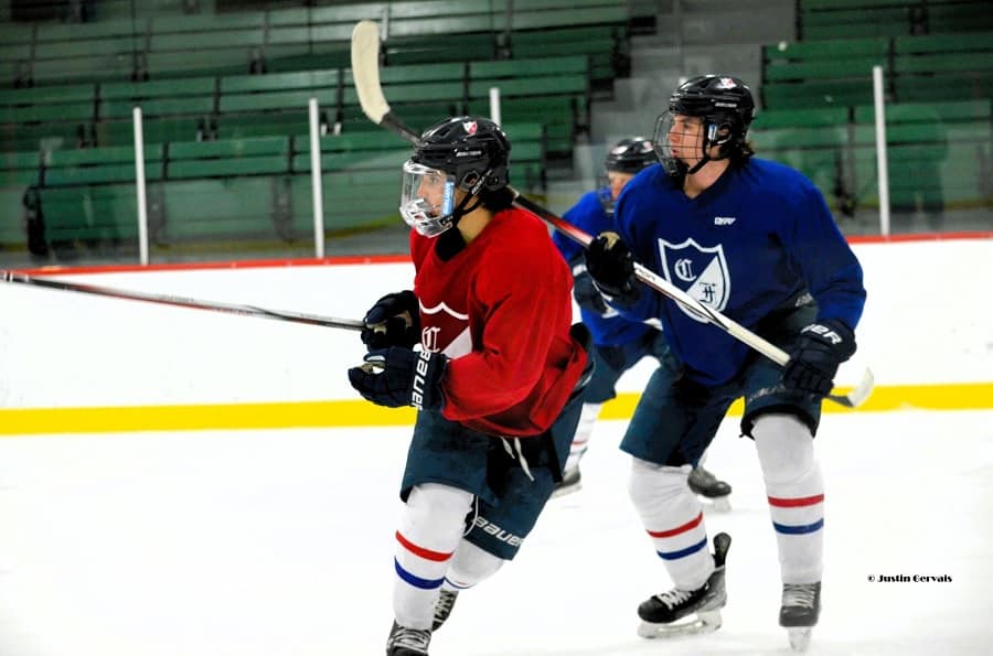 Joueurs de hockey sur glace