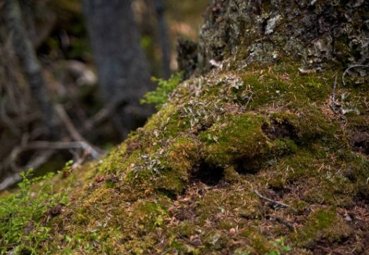 Mère au Front soucieuse de l’environnement avec Northvolt