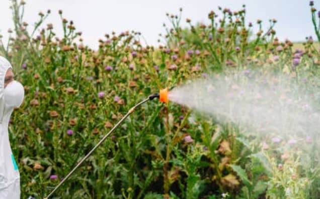 La glyphosate maintenant interdite a Saint-Bruno-de-Montarville