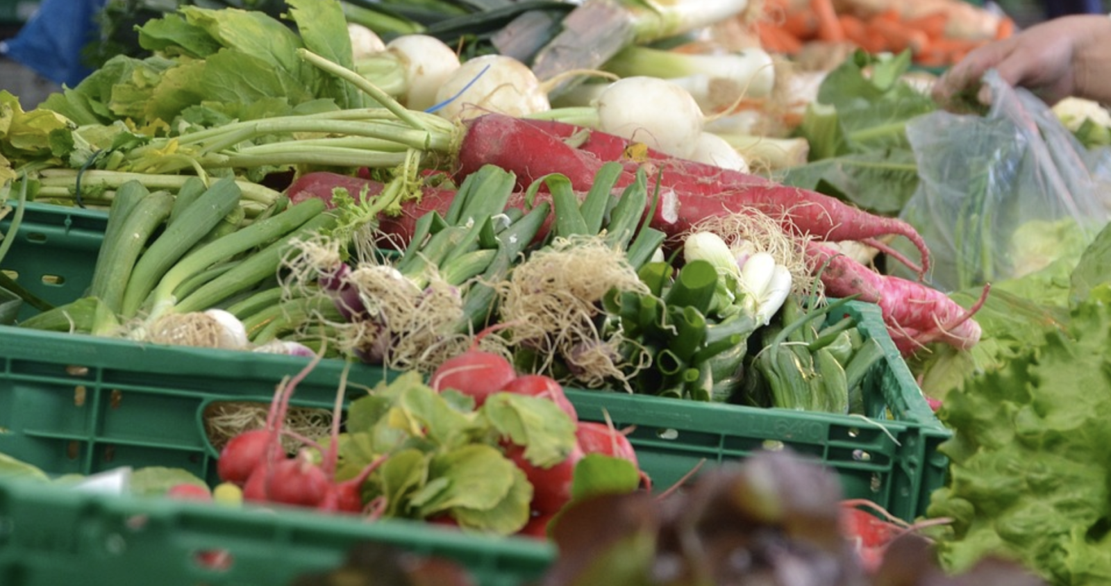 Le marché fermier de Saint-Lambert change de place