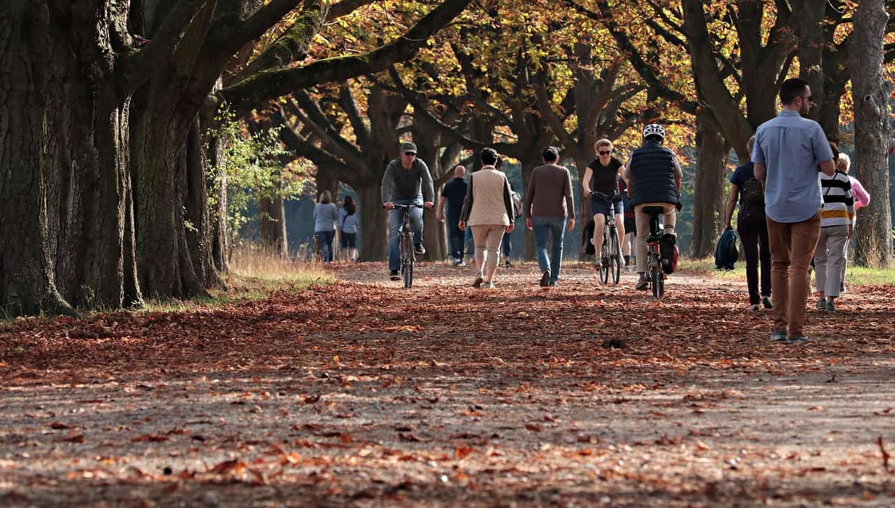 Saint-Bruno va de l’avant avec son parc Éphémère 