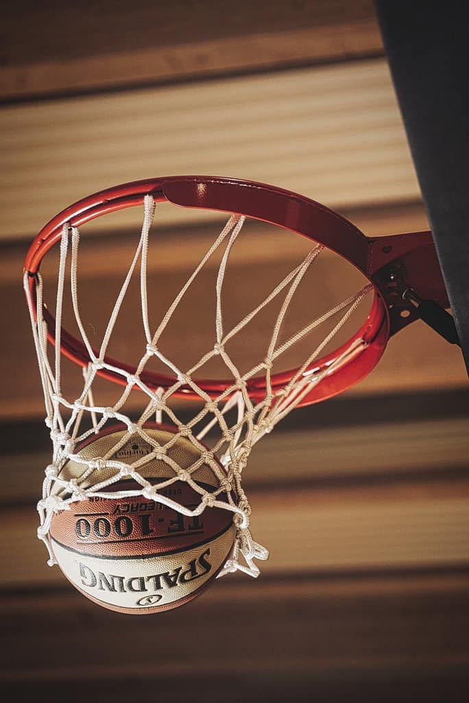 Les Panthères se démarquent au basketball; le Noir et Or excelle en volleyball