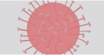 Norovirus en Montérégie : les microbiologistes mettent en garde la population  