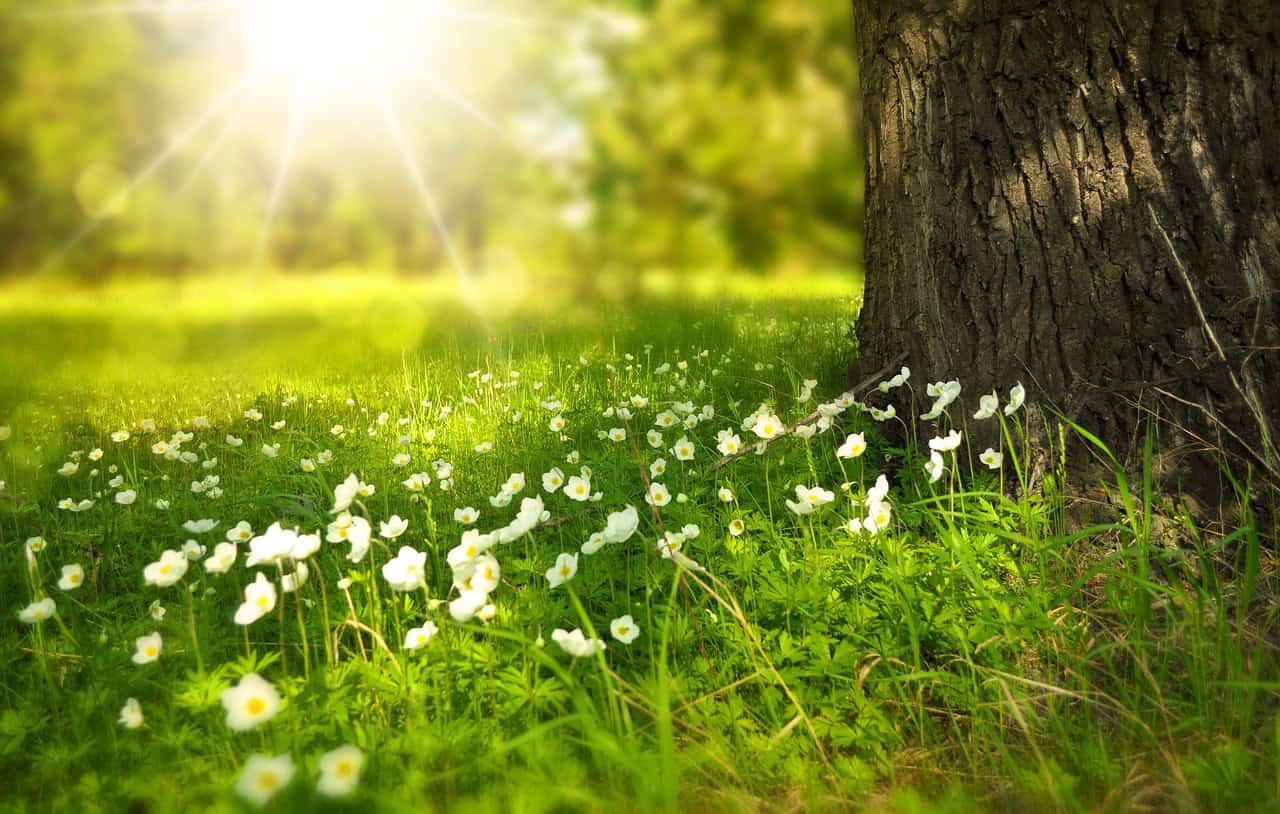 Les Belœillois pourront désormais pousser une herbe plus haute 