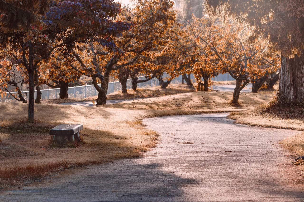 Des travaux à venir au parc du Vallon à Varennes 