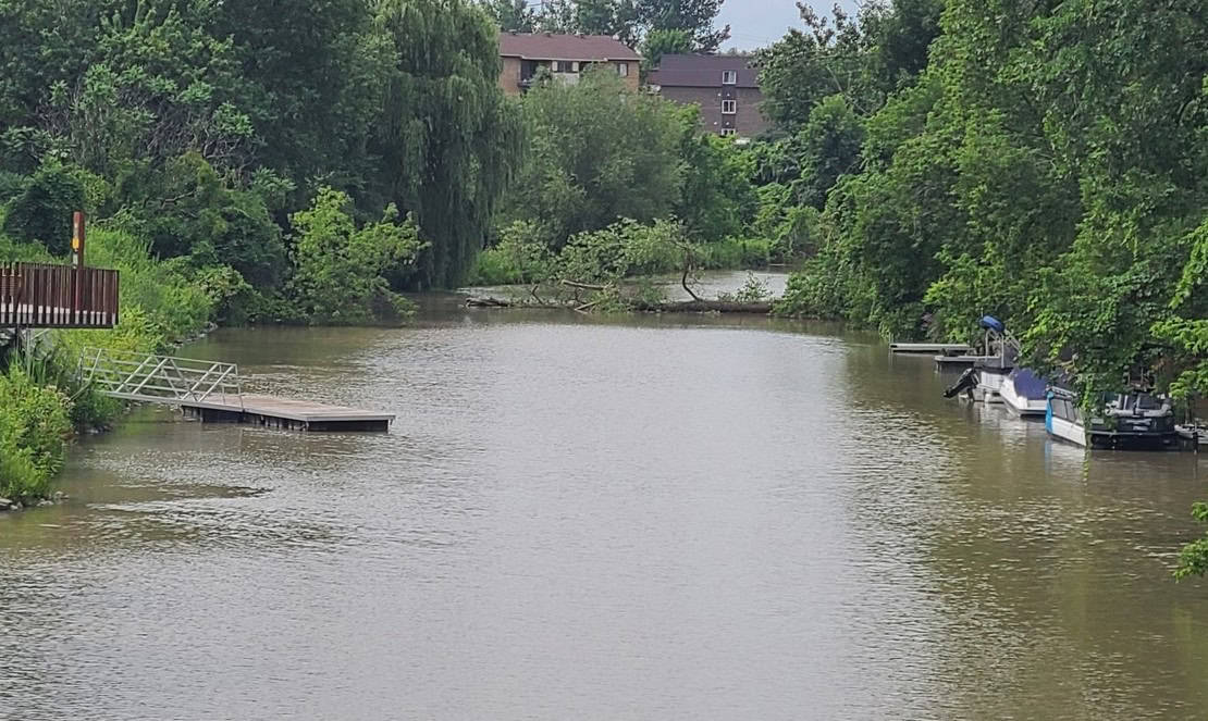 La chute d'un arbre restreint la navigation dans la rivière à Delson