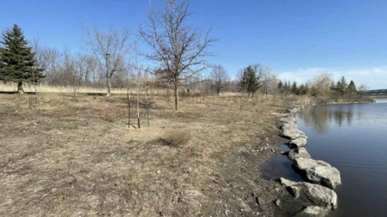 Longueuil doit faire effectuer des travaux sur les berges du parc de la Cité