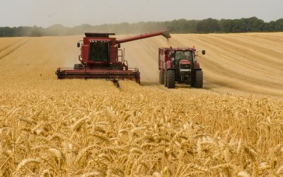 Les producteurs de grains interpellent Québec