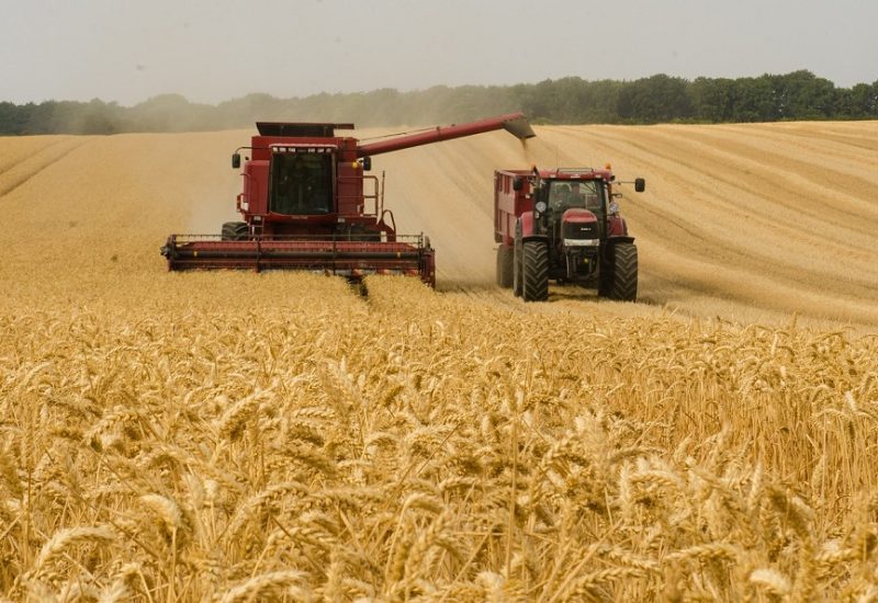 Les producteurs de grains interpellent Québec