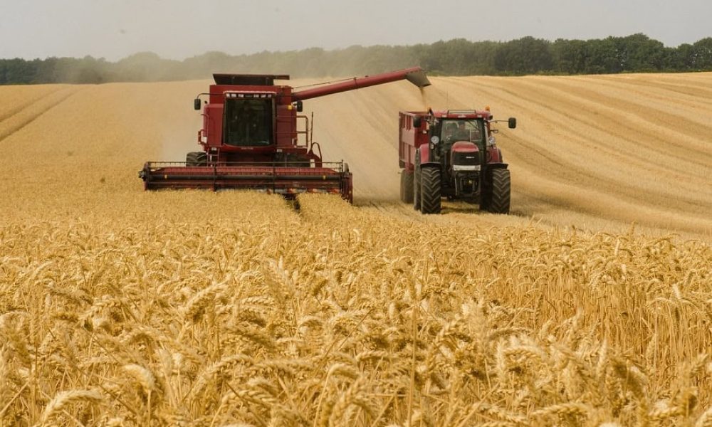 Les producteurs de grains interpellent Québec