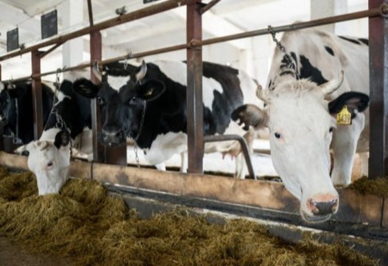 Les producteurs de lait de la Montérégie Est et Ouest annoncent avoir offert près de 78 200 $ en dons et commandites à des entreprises locales en 2024.