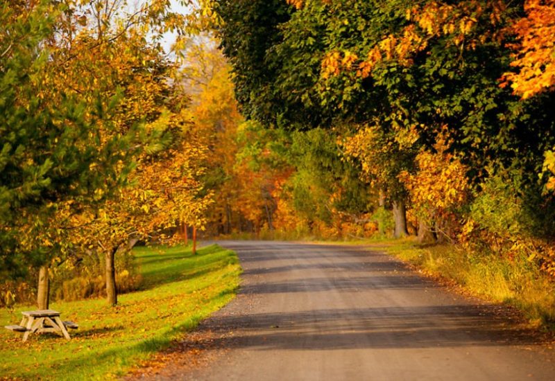 Projet de vignettes dans les rues autour du parc du Mont-Saint-Bruno