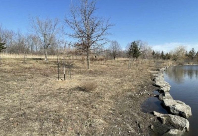 Longueuil doit faire effectuer des travaux sur les berges du parc de la Cité