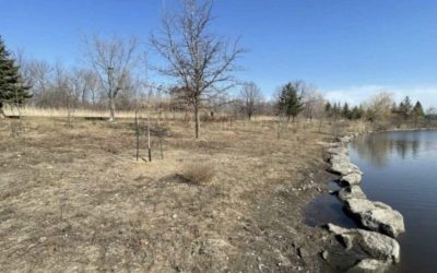 Longueuil doit faire effectuer des travaux sur les berges du parc de la Cité