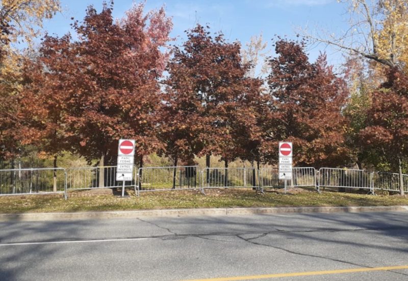 Longueuil procède à l'abattage de cerfs au parc Michel-Chartrand