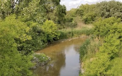 Des aménagements écologiques pour la biodiversité au parc Saint-Charles à Varennes