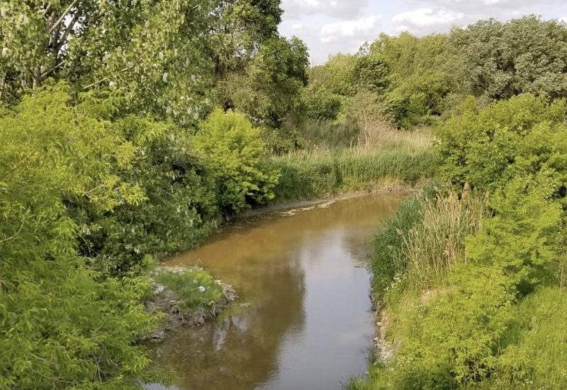 Des aménagements écologiques pour la biodiversité au parc Saint-Charles à Varennes