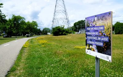 Un corridor de biodiversité pour la Ville de Sainte-Catherine