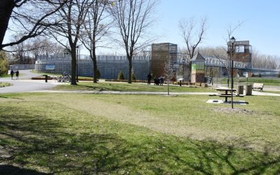 Longueuil met 1 M$ pour entretenir ses gazons sportifs durant trois ans