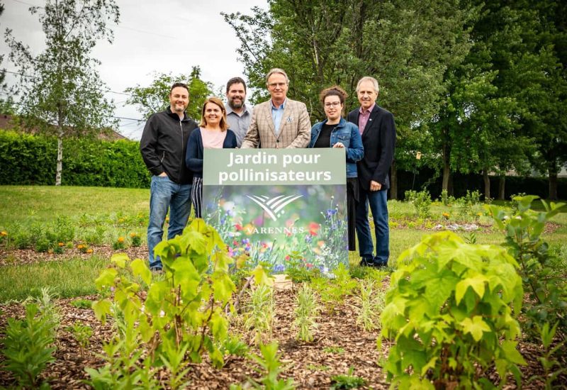 Varennes a maintenant son jardin des pollinisateurs