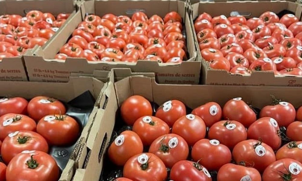 Moisson Rive-Sud prévoit de s’agrandir en changeant de locaux