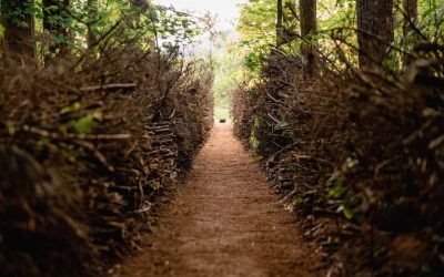 L’évènement de Créations-sur-le-champ/Land art est de retour à Saint-Hilaire