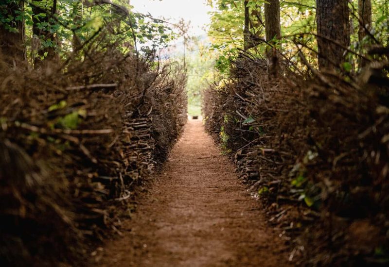 L’évènement de Créations-sur-le-champ/Land art est de retour à Saint-Hilaire