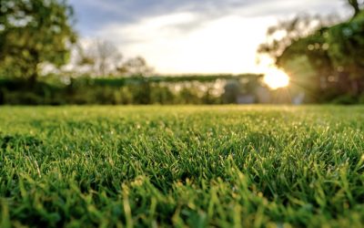 Boucherville maintient son règlement sur les pesticides