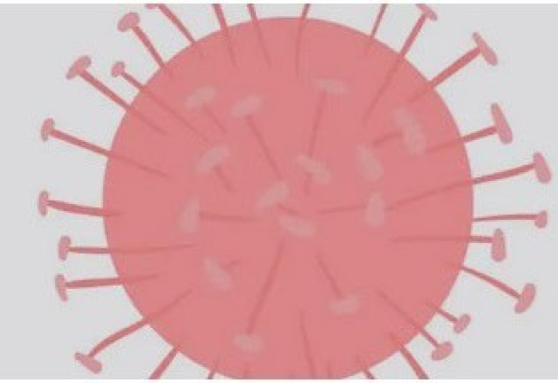 Norovirus en Montérégie : les microbiologistes mettent en garde la population  