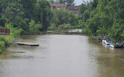 La chute d'un arbre restreint la navigation dans la rivière à Delson