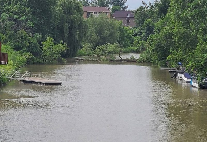 La chute d'un arbre restreint la navigation dans la rivière à Delson