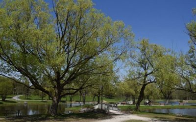 Longueuil sollicite des fonds pour la phase 2 du programme OASIS