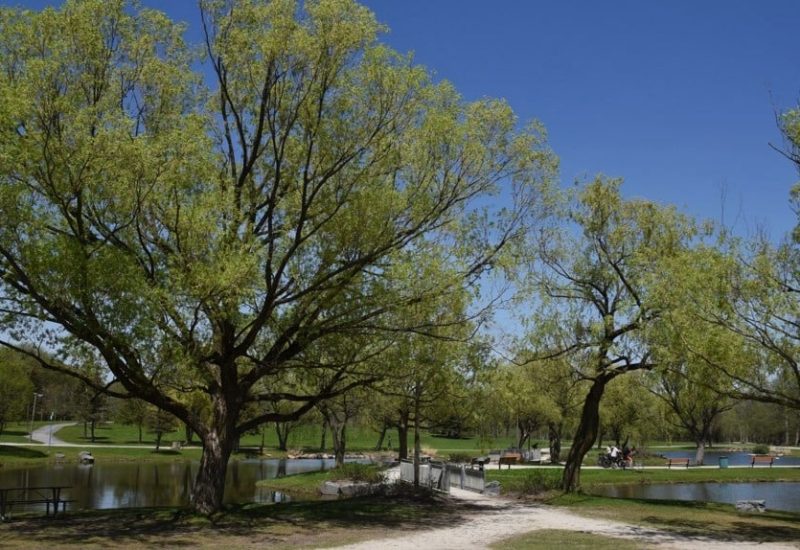 Longueuil sollicite des fonds pour la phase 2 du programme OASIS