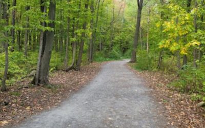 Boucherville débloque de l’argent pour des travaux au Boisé du Tremblay