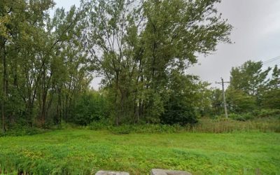 Longueuil reçoit une aide pour la conservation des milieux naturels