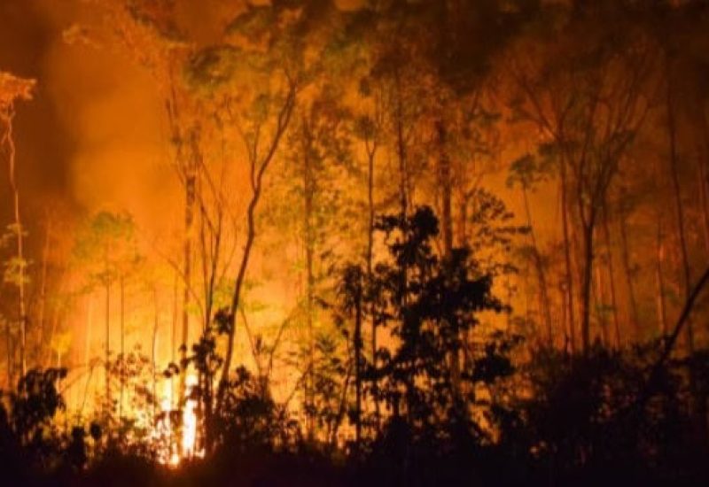 Risque d'incendie de forêt élevé au Québec : Vigilance requise