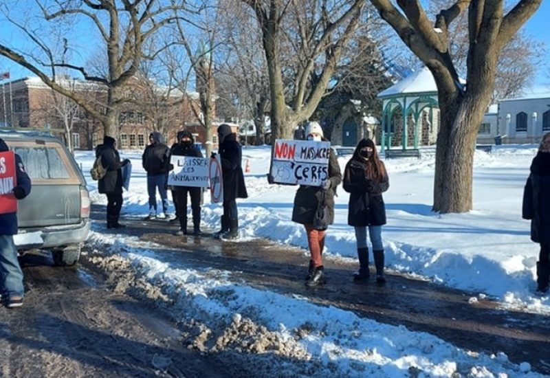 Des citoyens croient que Longueuil peut prendre soin des cerfs et du parc