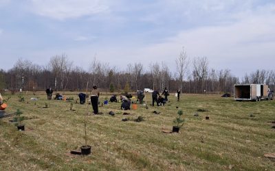 La MRC de Marguerite-D’Youville crée une forêt nourricière à Saint-Amable