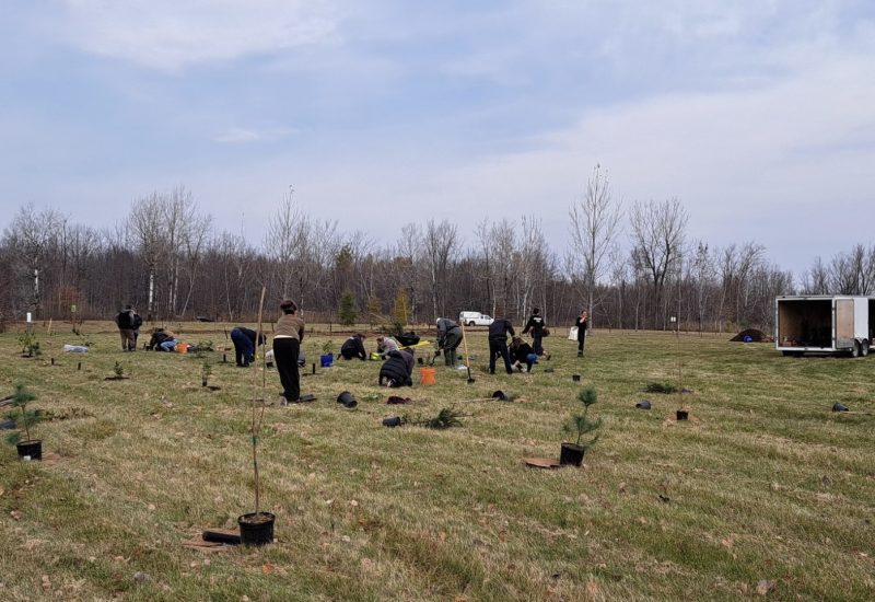 La MRC de Marguerite-D’Youville crée une forêt nourricière à Saint-Amable