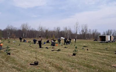 La MRC de Marguerite-D’Youville crée une forêt nourricière à Saint-Amable