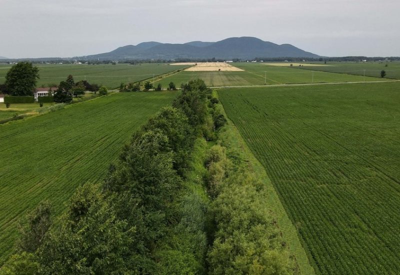 Agriculture durable et biodiversité avec ALUS en Montérégie