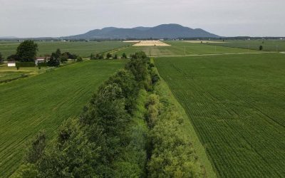 Agriculture durable et biodiversité avec ALUS en Montérégie