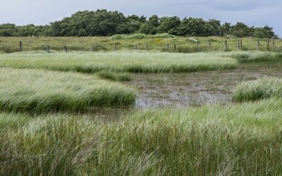 Une entreprise de Saint-Bruno condamnée versus l’environnement