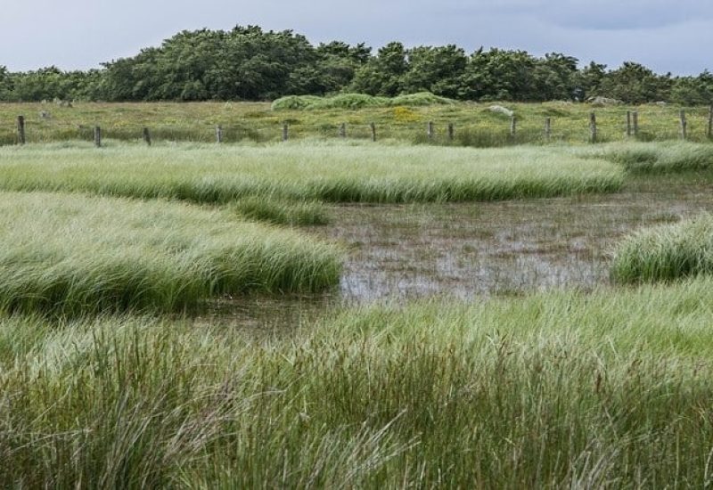 Une entreprise de Saint-Bruno condamnée versus l’environnement