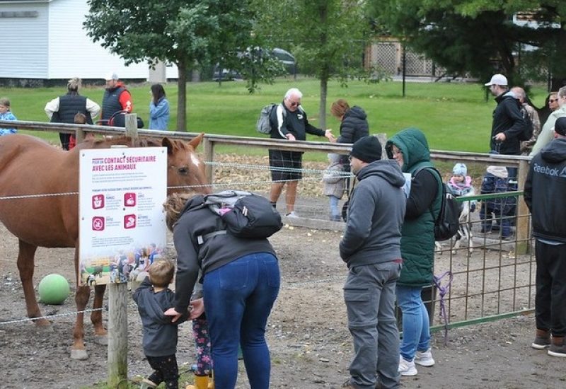 Les visite des Fermes montérégiennes est populaire dans la région